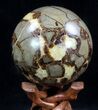 Bargain Polished Septarian Sphere #41788-1